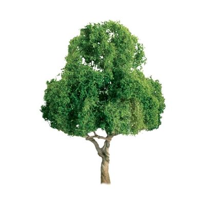 96028 4" DECIDUOUS TREES