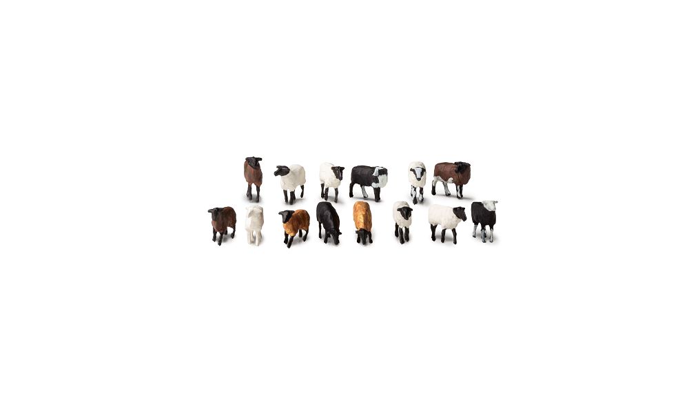A1964 FLOCK OF SHEEP-HO