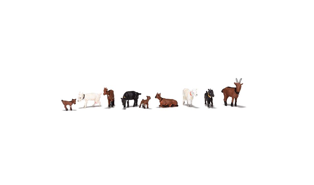 A1965 GOAT HERD-HO