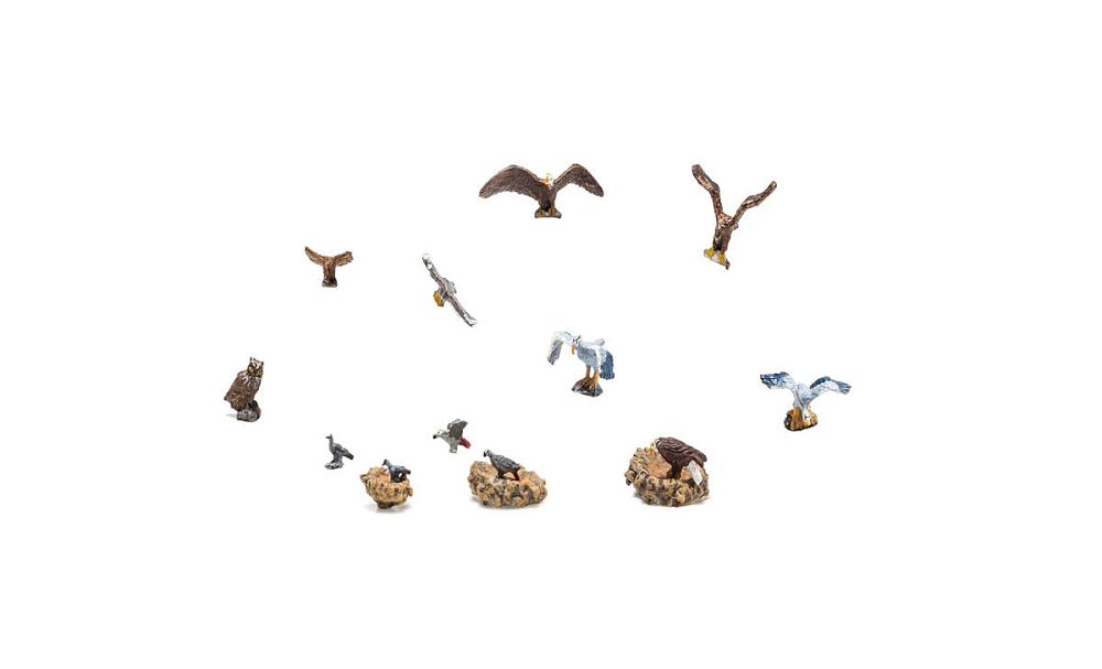 A1970 BIRDS & NESTS-HO