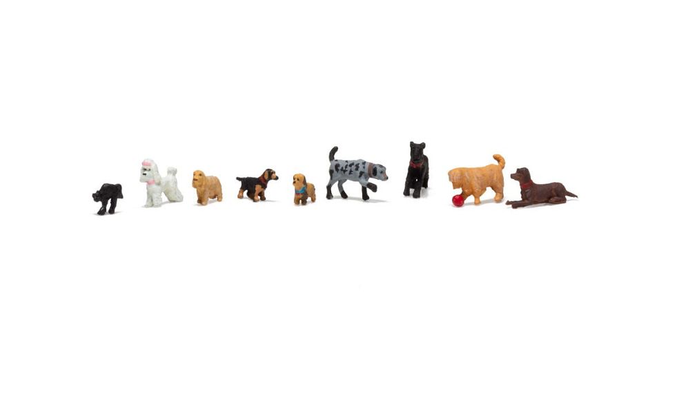 A1972 CAT & DOGS-HO