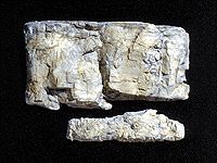 C1239 STRATA STONE ROCK MOLD