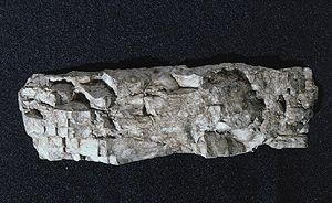 C1244 FACET ROCK MOLD