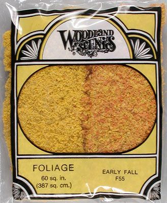 F55 EARLY FALL FOLIAGE