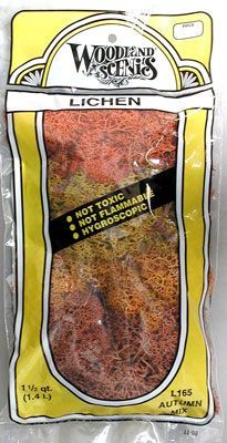L165 AUTUMN MIX LICHEN