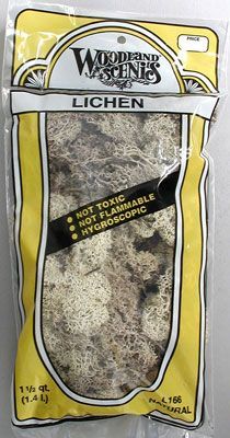 L166 NATURAL LICHEN