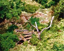 S30 DEAD FALL