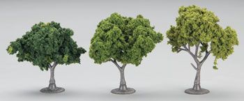 TR1571 DECIDUOUS TREES 2"-3"