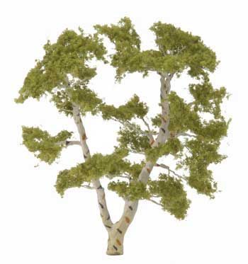 TR1601 BIRCH TREE