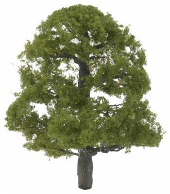 TR1606 OAK TREE