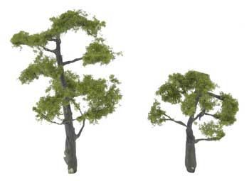 TR1607 LOCUST TREES