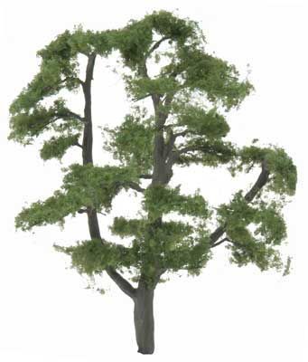 TR1610 MAPLE TREE
