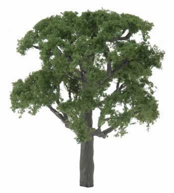 TR1622 WALNUT TREE