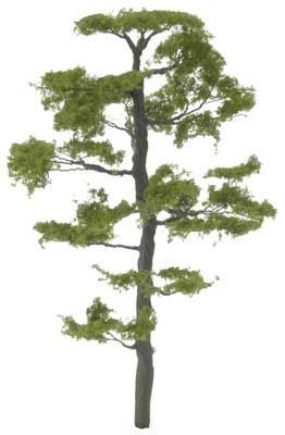 TR1623 HICKORY TREE